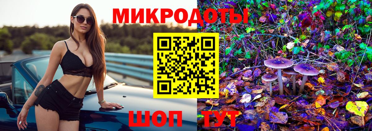 Реж  Галлюциногенные грибы MAGIC MUSHROOMS  Вход с VPN 