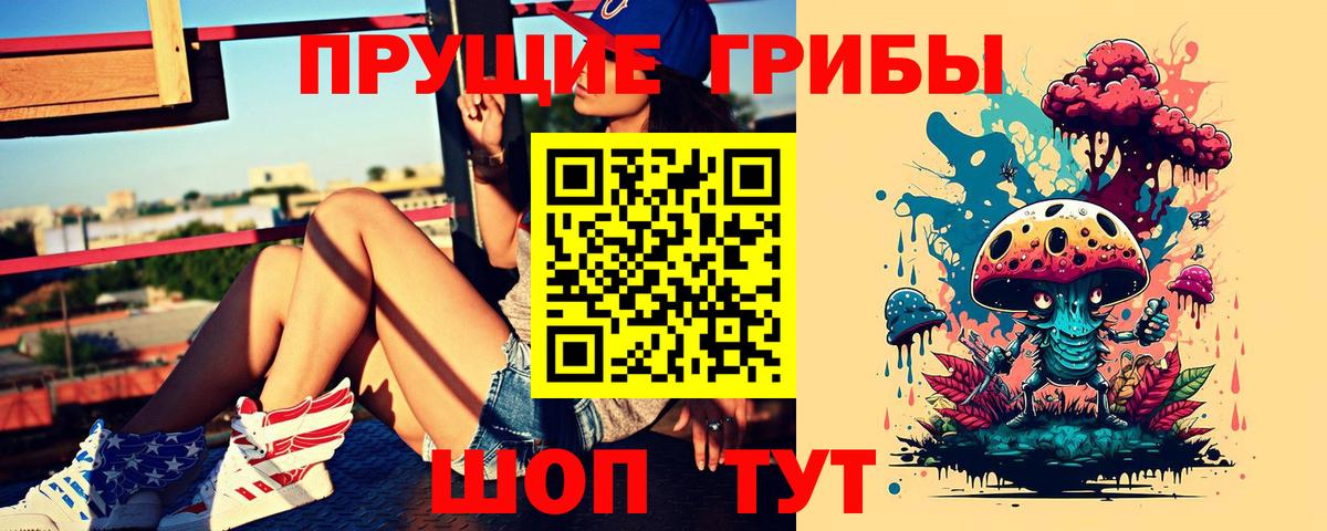 Галлюциногенные грибы Psilocybe Реж